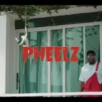 Pheelz – Somebody (Video)