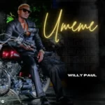 Willy Paul – Umeme