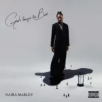 Naira Marley – Drink Alcohol Like It’s Water ft Chivv & Diquenza