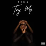 Tems – Try Me