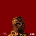 Spinall – Power (Remember Who You Are) REMIX Ft. Summer Walker, DJ Snake, Äyanna & Nasty C
