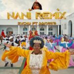 Zuchu – Nani (Remix) Ft. Innoss’B (Video)