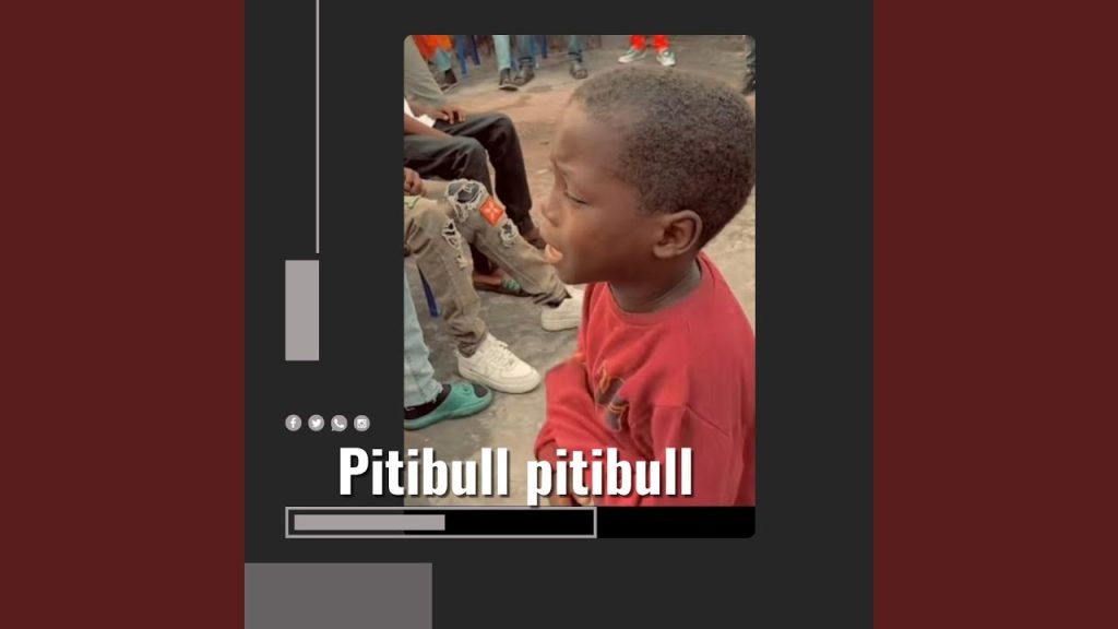 Arewa Trending Music – Pitibull Pitibull