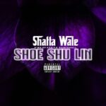 SHATTA WALE – SHOE SHU LIN FL MS