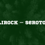 Shalirock – Serotonin