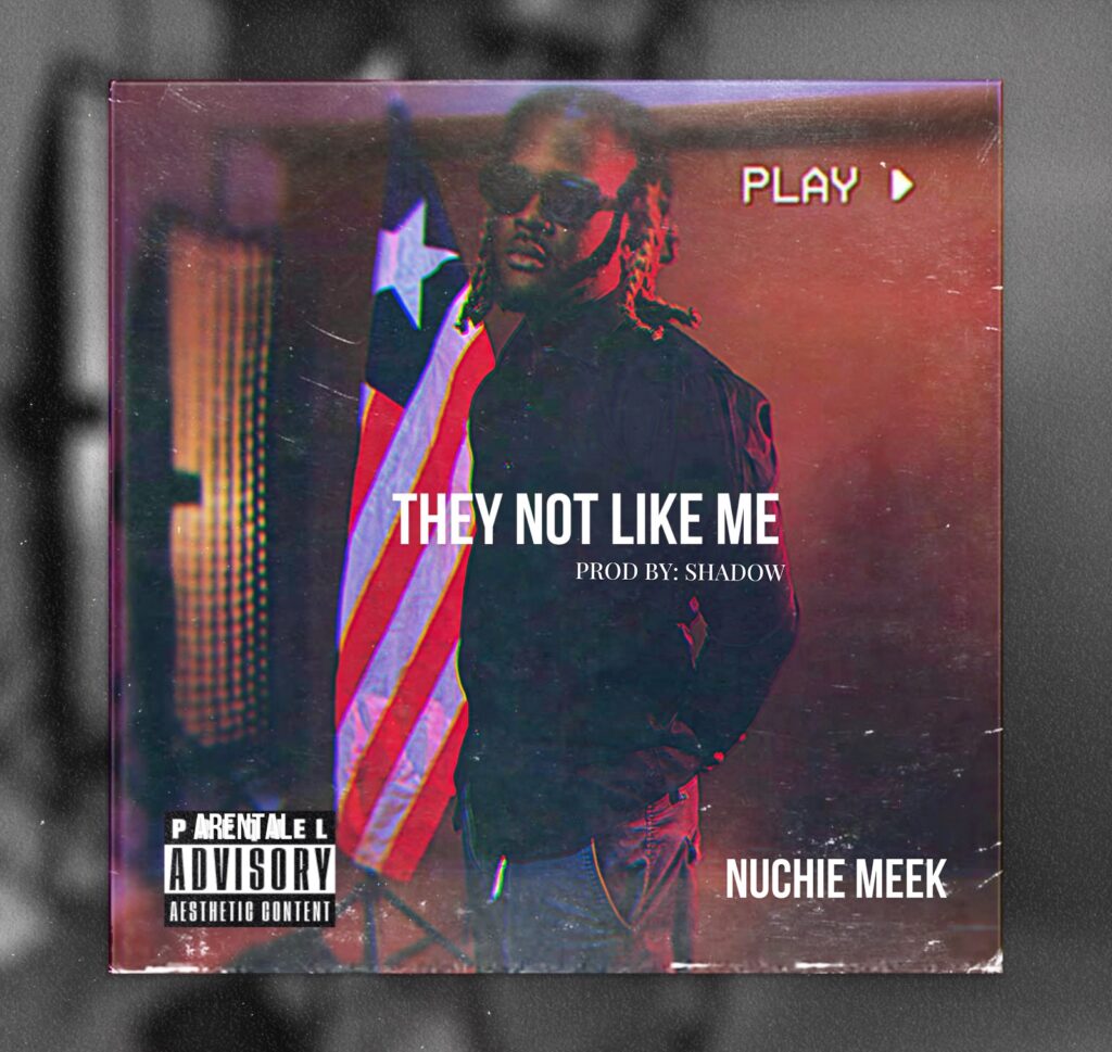 Nuchie Meek - They Not Like Me