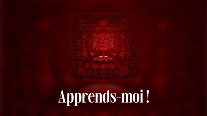 Dadju – Apprends ft. Tayc