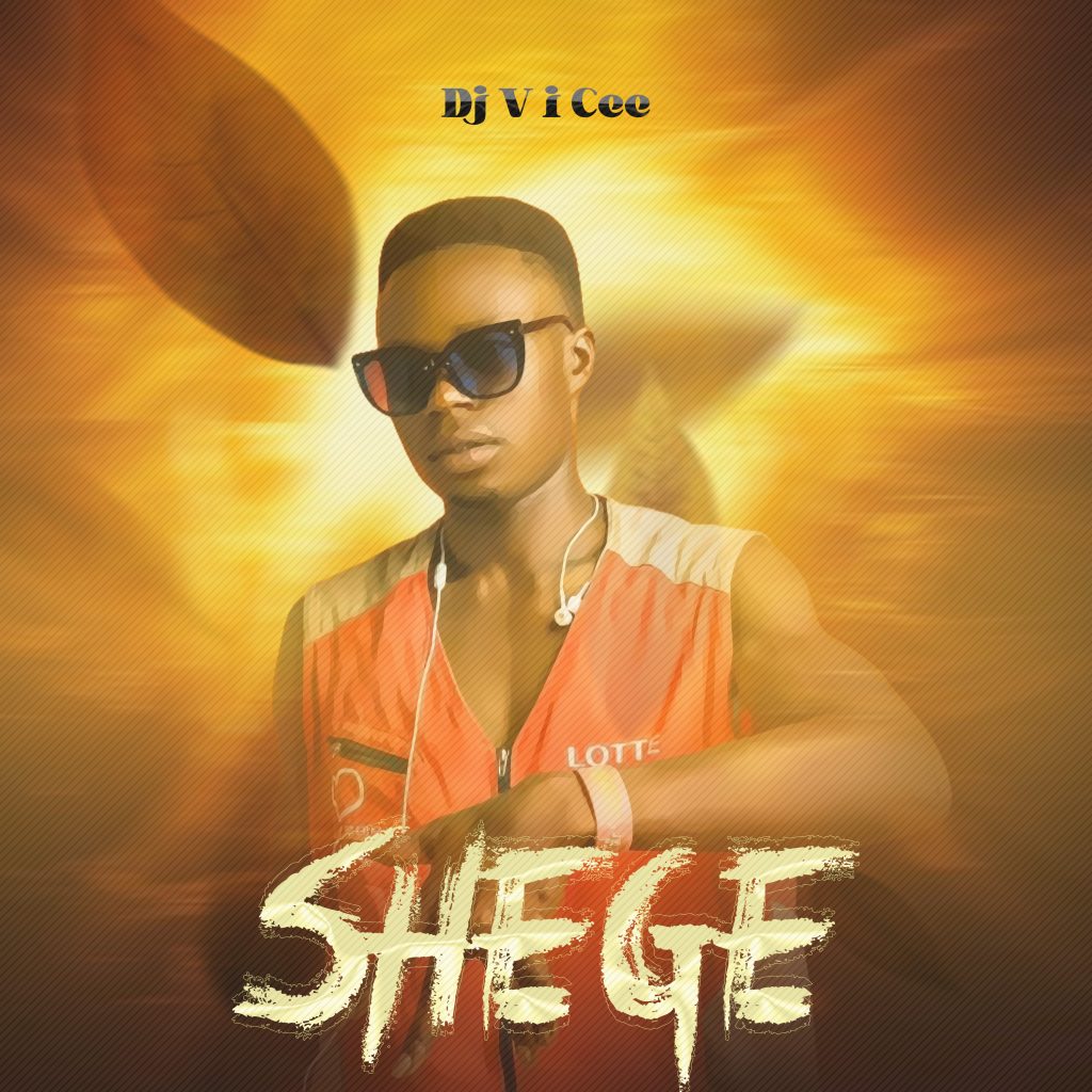 DJ V I Cee - Shege