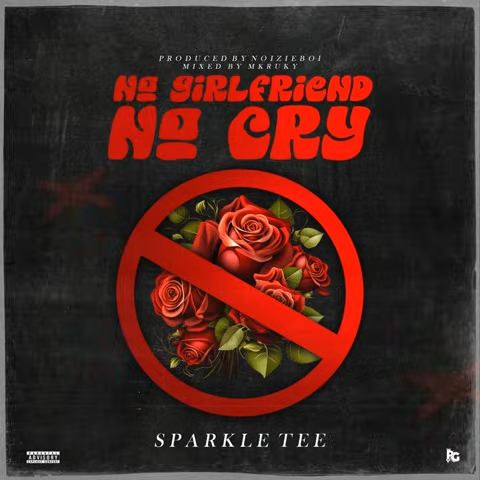 Sparkle Tee – No Girlfriend No Cry