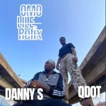 Danny S Ft. Qdot – Omo Lile (Remix)