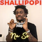 Shallipopi - Na So
