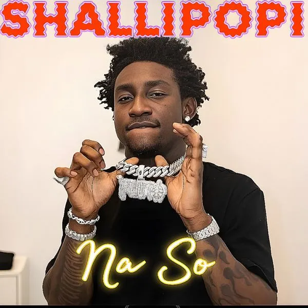 Shallipopi - Na So