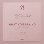 Lil Uzi Vert - What You Saying