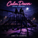 Strei X DJ Youngstar - Calm Down (Dibiri Version)
