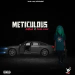 Chella – Meticulous Ft. Young Clique