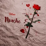 Definer Tz – Niache