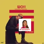 Olamide - Aunty Shakira (Woo)