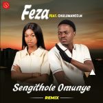 Feza & Chulumanco M - Sengithole Omunye (Remix) Lyrics