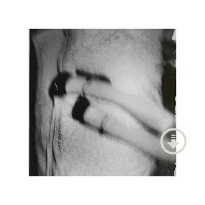 Ariana Grande - Petal