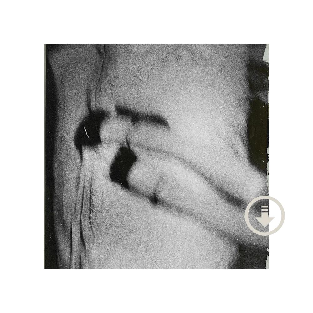 Ariana Grande - Petal
