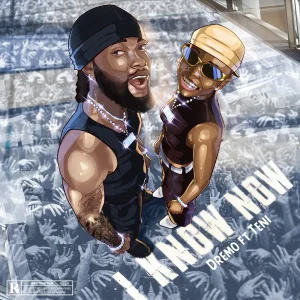 Dremo – I Know Now Ft. Teni
