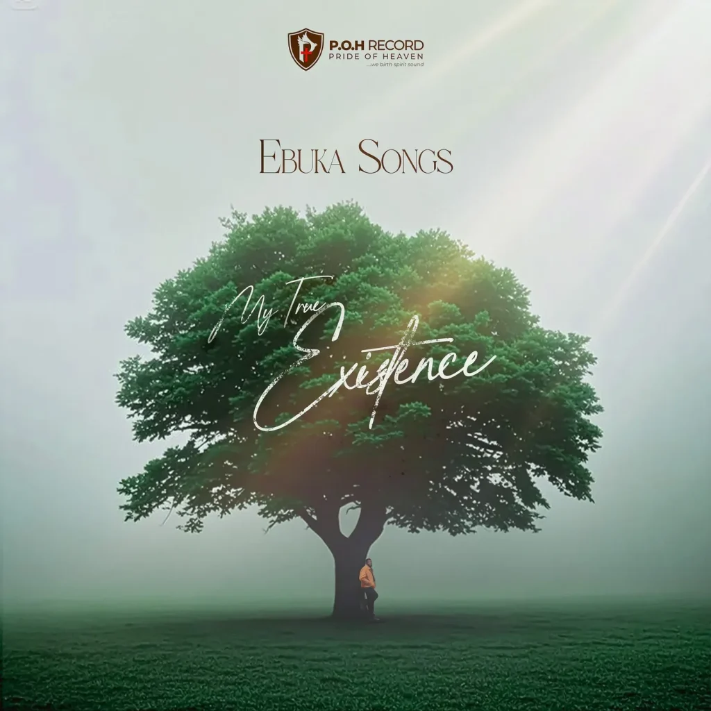 Ebuka Songs – My True Existence (Live)