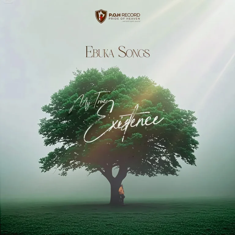Ebuka Songs – My True Existence (Live)