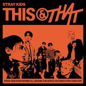 Stray Kids - THIS & THAT (Album)